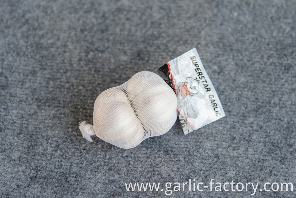 Certified GAP KOSHER HALAL GARLIC AJO Garlic